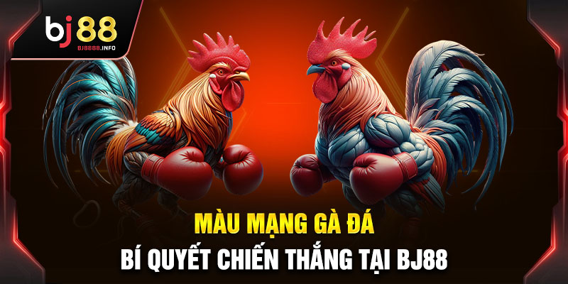 Màu Mạng Gà Đá